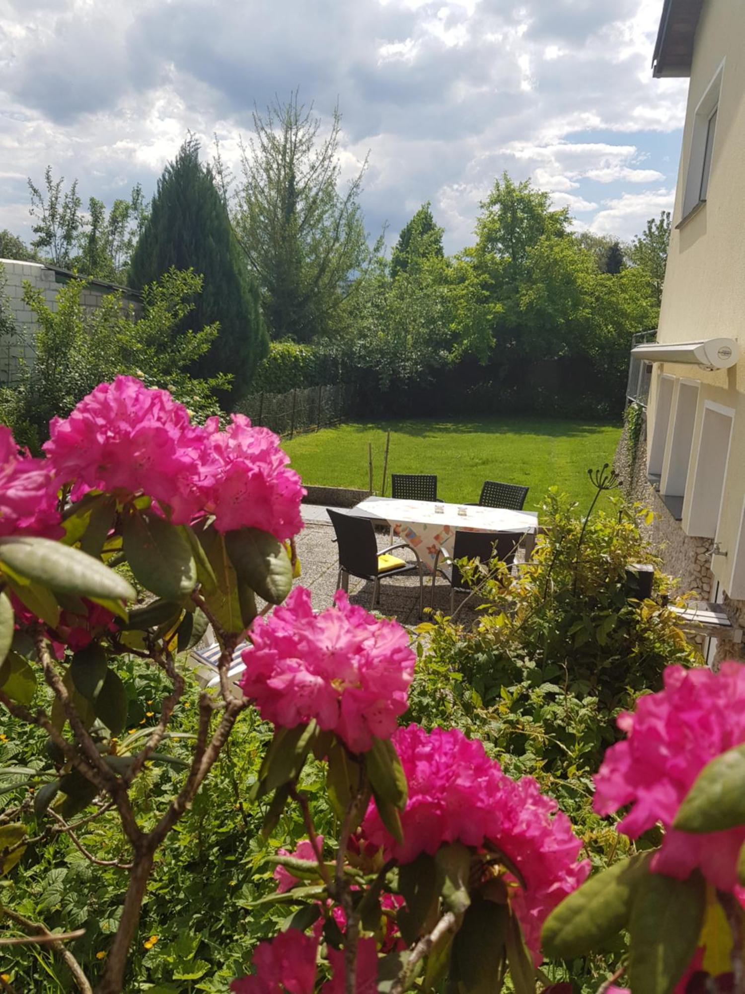 Ferienwohnung Im Rurtal Kreuzau Екстериор снимка